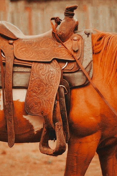 Western Wallpapers, Country Best Friends, Horse Backpack, Country Girl Life, Homestead Ideas, Western Saddles, Western Paintings, Western Tack, Western Horse Tack