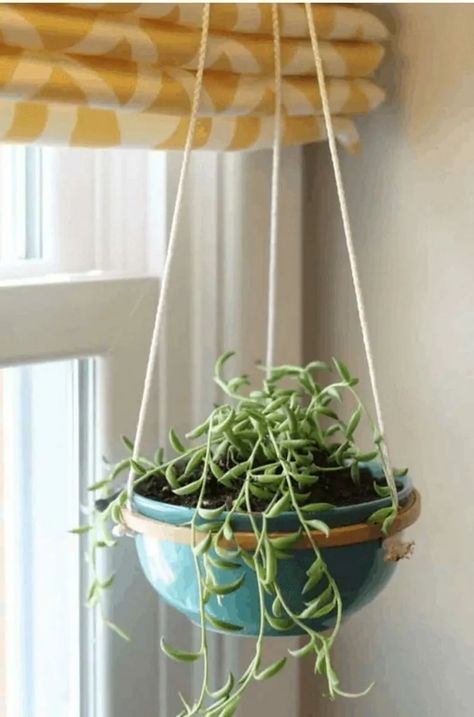 35 Creative Ways to Display Indoor Plants Diy Plant Display, Ways To Hang Plants Indoors, Indoor Hanging Plants Ideas, Hanging Plants Ideas, Planter Box Centerpiece, Indoor Hanging Plants, Houseplant Ideas, Desktop Zen Garden, Indoor Plant Trellis