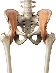 Iliacus Muscle, Passive Stretching, Hip Mobility Exercises, Psoas Release, Stability Exercises, Hip Problems, Yoga Anatomy, Frozen Shoulder, Psoas Muscle