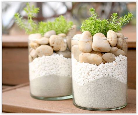 Sand Vase Decor, Sand Covered Pots, Lemon Coral Sedum, Sand Jar, Grow Lemon, Succulents In Glass, Sand Vase, How To Grow Lemon, Aquarium Gravel