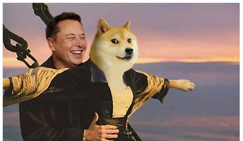 Doge Meme, Computer Humor, Macbook Wallpaper, Funny Wallpaper, Dog Wallpaper, Computer Wallpaper, Laptop Wallpaper, Elon Musk, Wallpaper Pc