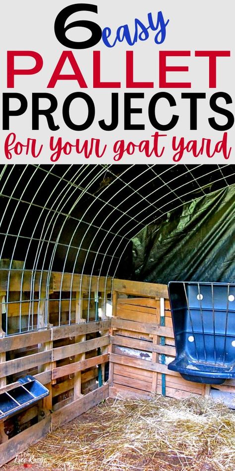 Simple Pallet Projects, Goat Yard, Easy Pallet Projects, Diy Pallet Decoration, Goat Playground, Goat Shelter, Goat House, Raising Farm Animals, Pallet Shed