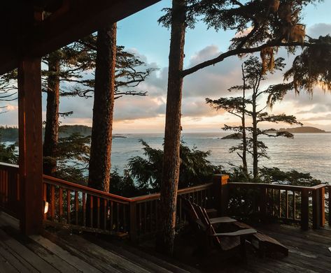 17 Best Things to do in Tofino BC for the Nature & Food Lover Tofino Camping, Tofino Aesthetic, Pacific Northwest Food, Tofino British Columbia, Storm Watching, Energy Vibration, Tofino Bc, Nanaimo Bc, Nature Food