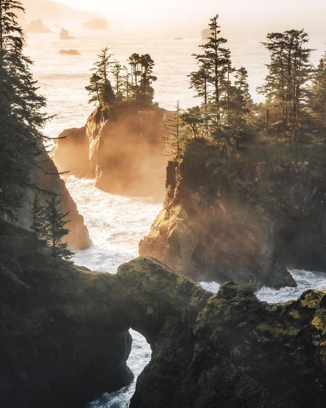 Oregon Coastline, Visit Oregon, Oregon Life, Southern Oregon Coast, Oregon Road Trip, Oregon Travel, Oregon Coast, Landscape Photographers, Beautiful Landscapes