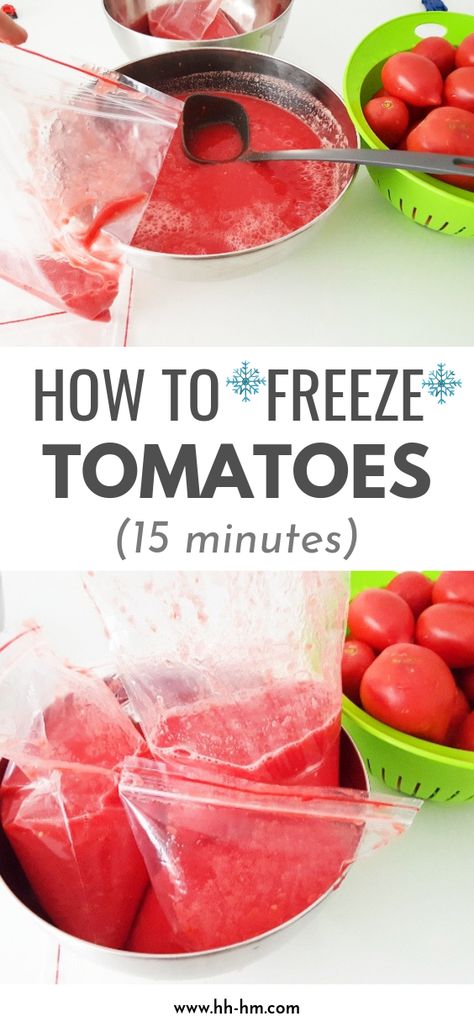 Freezing Fresh Tomato Juice, How To Put Up Fresh Tomatoes, Can You Freeze Tomato Sauce, Tomato Juice Recipes Freezer, Tomato Sauce To Freeze, Freeze Tomato Sauce, Freezing Tomato Sauce, Freezing Produce, Tomato Sauce From Fresh Tomatoes