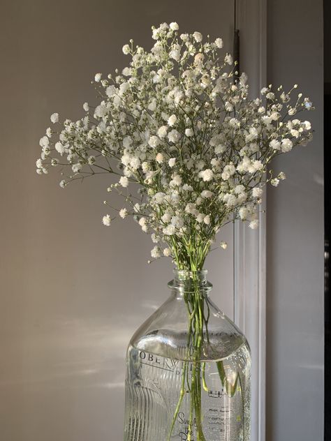 Baby Breath Aesthetic, Gypsophila Aesthetic, Babys Breath Aesthetic, Baby S Breath, Nothing But Flowers, Baby Flower, Flower Therapy, Beautiful Bouquet Of Flowers, Beautiful Bouquet