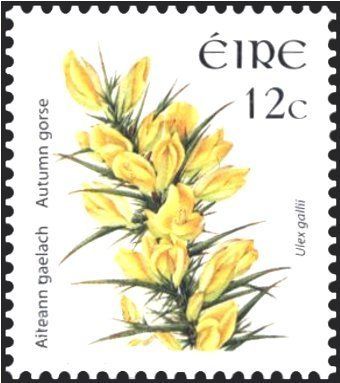 Sello: Autumn Gorse (Ulex gallii) (Irlanda(Wild Flowers Definitives 2004-2011) Mi:IE 1689,Sn:IE 1650,Yt:IE 1693,Sg:IE 1672,AFA:IE 1570 Scottish Tattoos, Postage Stamps Crafts, Uk Stamps, Stamp Tattoo, Purple Easter, Irish Tattoos, Vintage Gardening, Commemorative Stamps, Postage Stamp Art