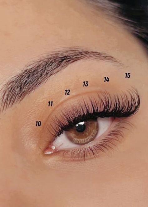 Lash Extensions Lash Map, Natural Lash Extensions, Lashes Ideas, Lash Map, Natural Fake Eyelashes, Lashes Fake Eyelashes, Lashes Tutorial, Prom Eye Makeup, Cat Eye Lash