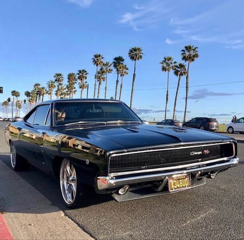 Love this ‘68 Dodge Charger. A cruise to the So. Cal beach. How would you rate this Dodge Charger from a scale of 1 to 10? #mopar #hemi #dodge #dodgechargerclassiccars #dodgeclassiccars #v8 #carstagram #coolcar #charger #americanmusclecarsdodge #fastcar #oldcar #oldschool 68 Dodge Charger, Dodge Charger 68, Daytona Car, Dodge Charger Hemi, Dodge Charger 1970, 1969 Dodge Charger Daytona, American Muscle Cars Dodge, 1971 Dodge Charger, 1968 Dodge Charger