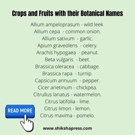 List of Important Scientific Names of Plants, Fruits & Vegetables, 60 + SCIENTIFIC NAMES OF PLANTS, FRUITS AND VEGETABLES FOR EXAMS PREPARATION Scientific Names List, Scientific Names Of Plants, Children's Day Message, Names Of Plants, Plants Names, Botanical Names, Name Of Vegetables, Exams Preparation, Educational Website