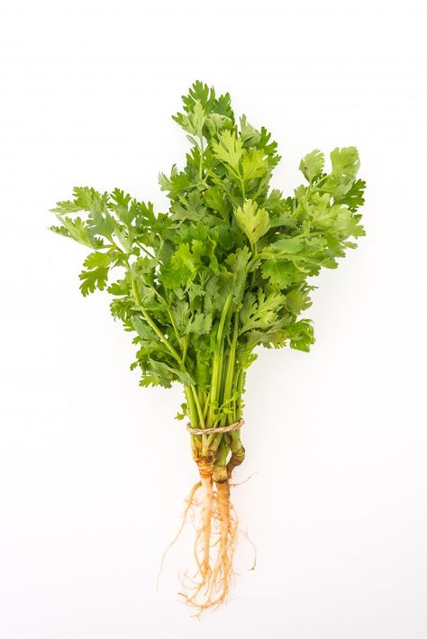 Vegetable green bunch parsley background | Free Photo #Freepik #freephoto #background #food #leaf #green Vegetables Photography, Background Food, Vegetable Pictures, Food Banner, Abstract Tree Painting, Backpacking Food, Outdoor Food, Beautiful Fruits, Leaf Green