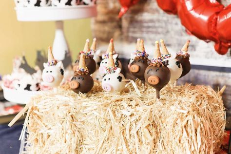 Tripp's First Rodeo | CatchMyParty.com Rodeo Cake Pops, Western Party Foods, Western Birthday Party Ideas, Bambi Birthday Party, Rodeo Cake, Bambi Birthday, Animal Cake Pops, Cowboy First Birthday, Cowgirl Cakes