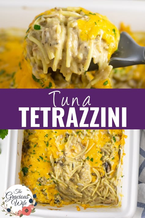 Tuna Stroganoff Recipe, Tuna Spaghetti Casserole, Tuna Noodle Casserole With Mushrooms, Tina Noodle Casserole, Tuna Tetrazzini, Tuna Casserole With Cream Of Mushroom, Tuna Tetrazzini Recipe, Chili Cheese Dog Casserole, Cheese And Onion Pie