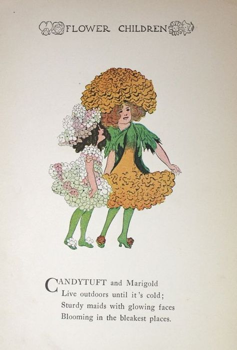 Candytuft & Marigold. M. T. Ross, illus. Poem by Eliz. Gordon. Fabric Reference, Old Book Art, Flower Children, Flower Identification, Kids Poems, Flower Fairies, Fairy Art, Childrens Illustrations, Character Designs