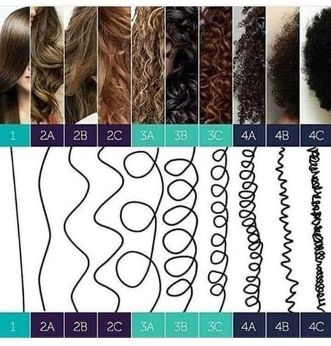 Hair Type Chart, Hype Hair, Best Hair Care Products, Hair Porosity, Curly Girl Method, Curly Hair Routine, Types Of Curls, Permed Hairstyles, 4c Hairstyles