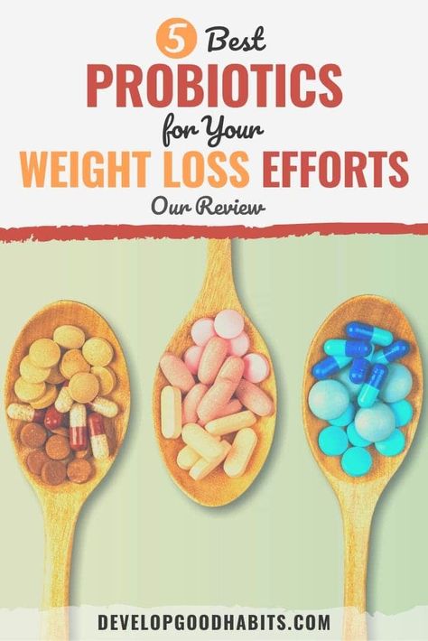 5 Best Probiotics for Your Weight Loss Efforts (2021 Review) Probiotics For Men, Best Probiotics, Wellness Board, Probiotic Benefits, Multivitamin Supplements, Best Probiotic, Health Guru, Probiotic Foods, Nutritional Supplements