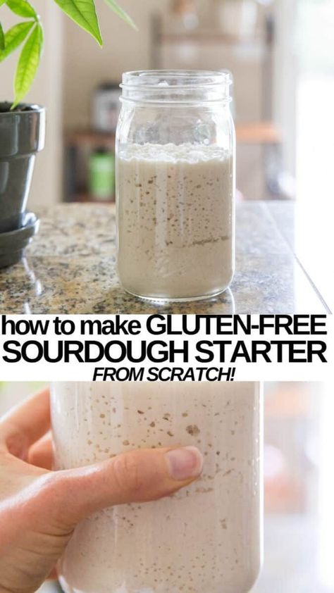 Make Sourdough Starter, Sourdough Starter From Scratch, Gluten Free Sourdough Starter, Gluten Free Sourdough, Sans Gluten Sans Lactose, Gluten Free Living, Gluten Free Dairy Free Recipes, Gluten Free Eating, Gluten Free Recipes Easy