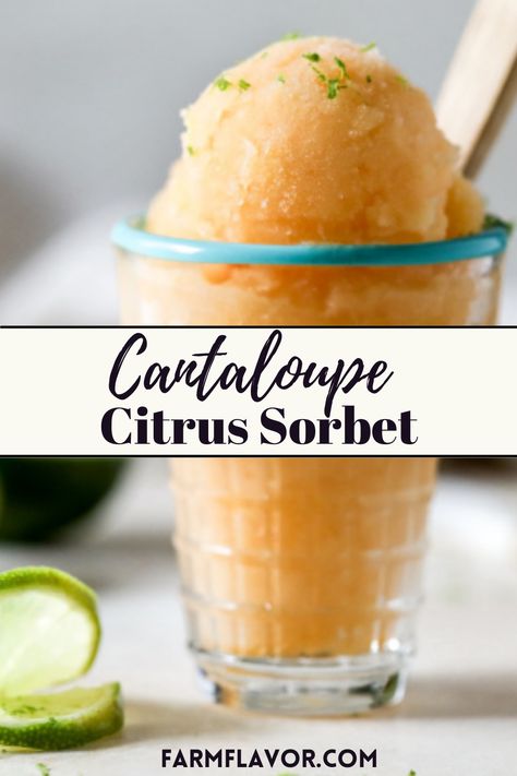 Cantaloupe Citrus Sorbet Cantelope Melon Recipes, Cantaloupe Sorbet Recipes, Melon Recipes, Lime Sorbet, Florida Food, Sorbet Recipes, Fruity Desserts, Scrumptious Desserts, Frozen Treats