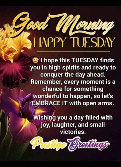 Morning Quotes Tuesday, Tuesday Morning Quotes, Tuesday Morning Wishes, Good Morning Saturday Wishes, Tuesday Wishes, Happy Tuesday Morning, Tuesday Quotes Good Morning, Tuesday Blessings, Daily Wishes