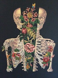 Skeleton split in half with flowers art Travis Bedel, Couple Drawing, Psy Art, Drawing Faces, Junji Ito, A Skeleton, Arte Inspo, Art And Illustration, Skeletal