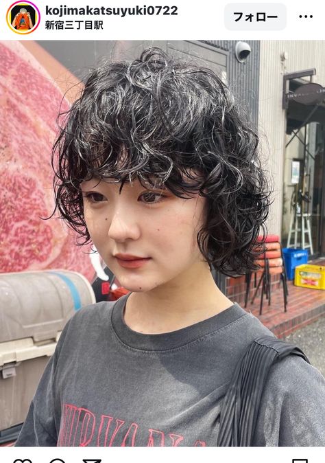 Asian Hair Short, Curly Asian Hair, Curly Short Hair, Curly Hair Short, Really Short Hair, Curly Short, Asian Hair, Short Curly Hair, Hair Short