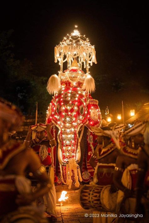 ©️ Manika Jayasingha Sri Lanka Culture Art, Sri Lankan Culture Aesthetic, Sri Lankan Aesthetic, Sri Lankan Culture, Sri Lankan Elephant, Elephant Drawing, Shri Ram Photo, People Figures, Ram Photos