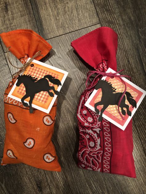 Rodeo Theme Goodie Bags, Rodeo Goodie Bags, Vaquero Theme Party, Party Goodie Bag Ideas, Horseback Riding Birthday Party, Horse Theme Birthday Party, Charro Theme, 3rd Birthday Party For Boy, Mexican Fiesta Birthday Party