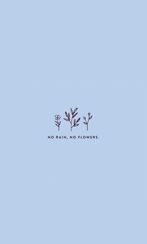 No Rain No Flowers Wallpaper, Baby Blue Wallpaper, Blue Flower Wallpaper, Blue Quotes, Cute Phrases, Blue Words, Baby Blue Aesthetic, Light Blue Aesthetic, No Rain No Flowers