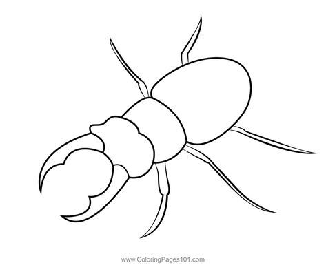 Stag Beetle Coloring Page Beetle Outline, Beetle Line Drawing, Beetle Sketch, Beetle Coloring Page, Bug Coloring Pages Free Printable, Insect Colouring Pages, Insects Coloring Pages For Kids, Mirror Nails Powder, Rhino Beetle