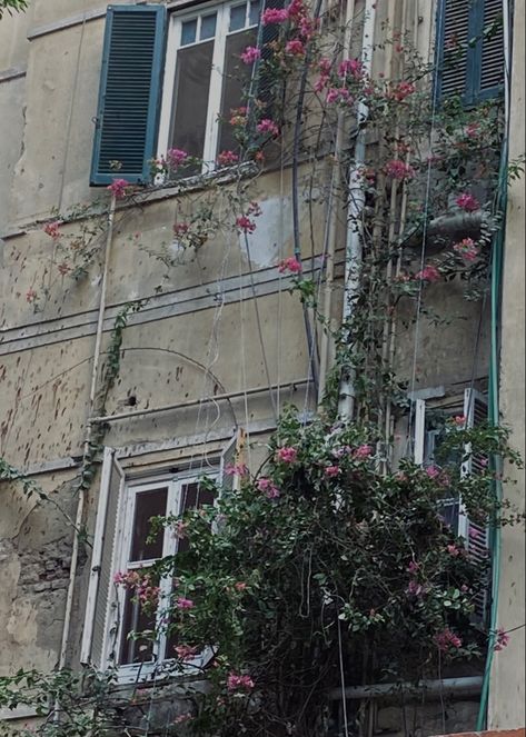 vintage aesthetic windows flowers building Old Flower Shop, Flowers Building, Windows Flowers, Apocalypse Au, 50s Vibes, Drama Class, Flower Window, Plant Shop, School Class