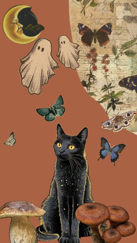 #autumn #coffeeaesthetic #cat #halloween Cats Dressed Up, Fall Cat Wallpaper, October Spread, Vintage Halloween Cat, Cell Wallpaper, Cottagecore Wallpaper, Fall Cottagecore, Cat Dressed Up, Fall Cats