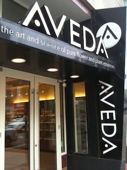 AVEDA! So excited to be a part of this team! Aveda Institute, Free Haircut, Beauty Careers, College Beauty, Aveda Hair, Hair School, Cosmetology School, Haircut Pictures, Top Beauty