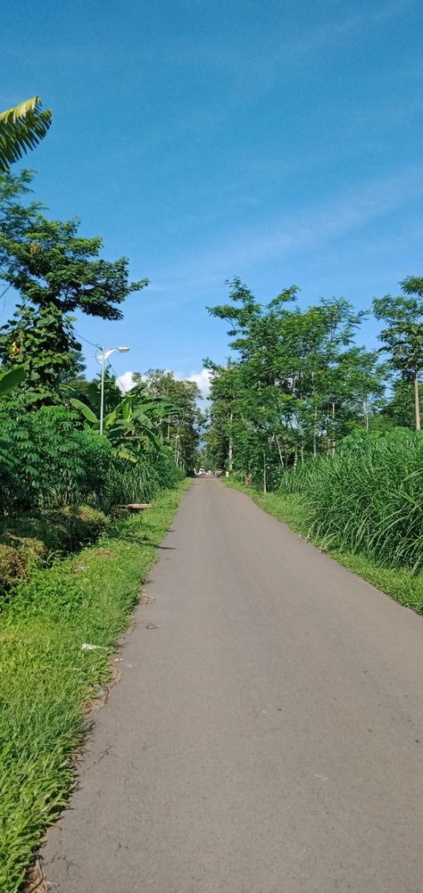 #nature #road #village Village Road Background For Editing, Roads Background For Editing, Nature Road, Village Road, Village Photos, Beautiful Angels, Angels Pictures, Beautiful Angels Pictures, Indian Village