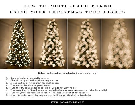 Christmas Lights Photoshoot, Lights Photoshoot, Christmas Light Photography, Christmas Tree Photography, Funny Christmas Pictures, Christmas Light Installation, Photography Cheat Sheets, Christmas Tree Lights, How To Photograph