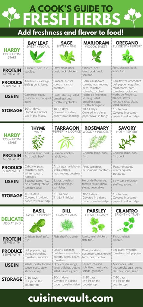 Heighten the freshness and flavor in your cooking with the addition of herbs. Learn about their flavors, uses, and much more in our ultimate guide.  #cookingwithherbs #freshherbs Herbs Guide To Cooking, Using Fresh Herbs In Cooking, How To Use Herbs In Cooking, Things To Do With Fresh Herbs, How To Use Fresh Herbs, Cooking With Fresh Herbs Recipes, Fresh Herbs Recipes, Herb Harvesting Guide, Herb Bundles For Cooking