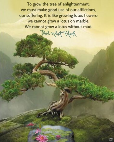 Thich Nhat Hanh Passed To The Next Dimension Bonsai Tree Painting, Thich Nhat Hanh Quotes Mindfulness, Krishnamurti Quotes, Thich Nhat Hanh Quotes, Quotes Mindfulness, Tree Quotes, Buddhist Wisdom, Plants Quotes, Zen Quotes