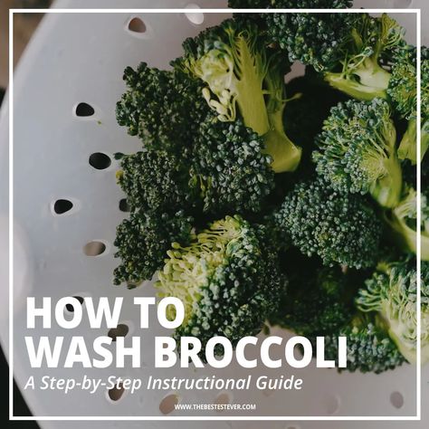 Find out how to wash broccoli properly with this step-by-step guide. Learn why it is important that broccoli is cleaned and washed before cooking or freezing, along with other useful information. Washing Broccoli, How To Clean Broccoli, Cleaning Broccoli, How To Prepare Broccoli, Cooking Fresh Broccoli, Broccoli Leaves, Salt Brine, Kill Bugs, Raw Broccoli