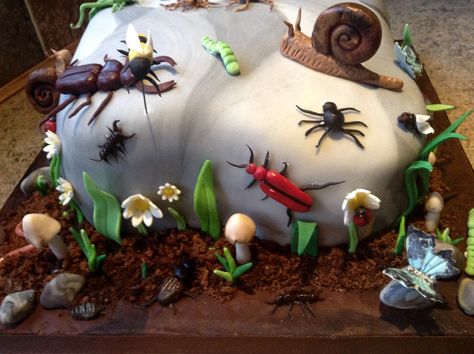 Insect Cake, Bugs Cake, Bugs Birthday Party, Birthday Cakes Diy, Bug Birthday Cakes, Edible Bugs, Insect Party, Bug Cake, Lincoln Birthday