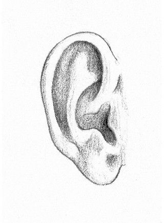 Ear Sketch Step By Step, Ear Sketch, Ears Drawing, Ear Drawing, How To Draw Ears, Pencil Portrait Drawing, Pencil Techniques, Ear Art, 얼굴 그리기