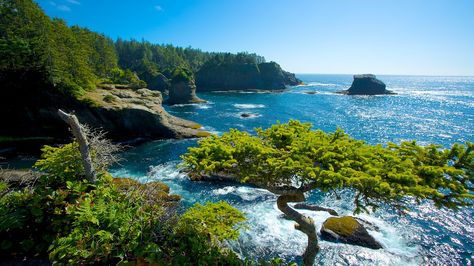 Cape Flattery - Olympic National Park - Tourism Media Cape Flattery Washington, 2023 Bucketlist, Cape Flattery, Neah Bay, Cambodia Travel, Explore Dream Discover, Safe Harbor, Olympic Peninsula, National Parks Usa