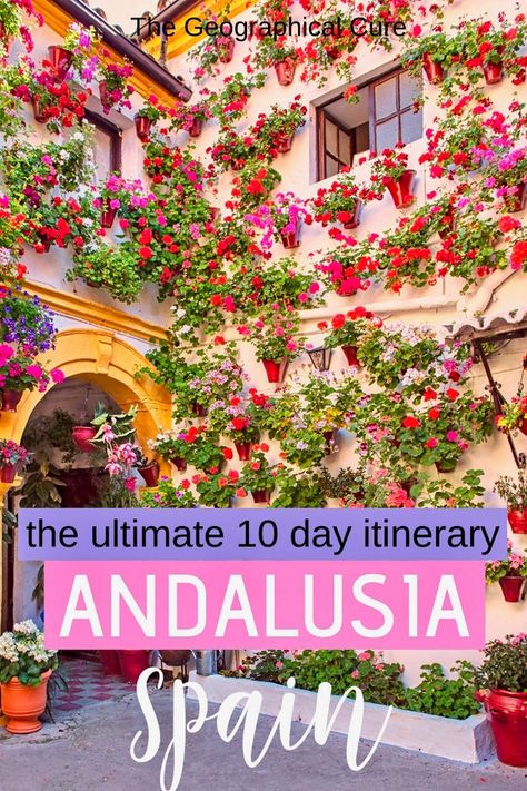 10 Day Andalusia Itinerary: the Best of Sunny Southern Spain Spain Aesthetics, 10 Day Itinerary, Spain Trip, Spain Itinerary, Spain Travel Guide, Orange Blossoms, Andalusia Spain, Southern Spain, Backpacking Europe