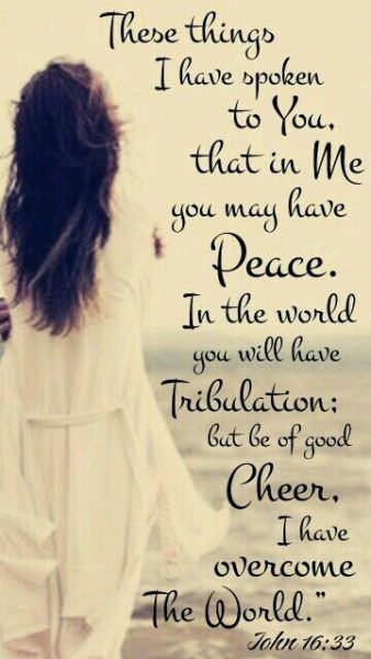 These things I have spoken to you, that in Me you may have peace. In the world you will[a] have tribulation; but be of good cheer, I have overcome the world.” Woord Van God, Motivation Positive, Overcome The World, Ayat Alkitab, Prayer Scriptures, Good Cheer, Favorite Bible Verses, Faith Inspiration, Gods Promises