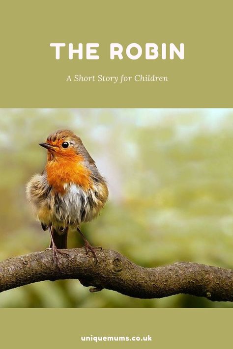 Today I’m sharing a short story about a little boy called Mark who struggled to find friends at school and so he made friends with an animal. Later on, though he was encouraged by a teacher to seek human friendships too. This is a Christian Short Story For Children. Short Inspirational Christian Stories, Christian Short Stories, Mum Memes, Friends At School, Childrens Sermons, Christian Stories, Best Short Stories, Friends Illustration, Geography Lessons