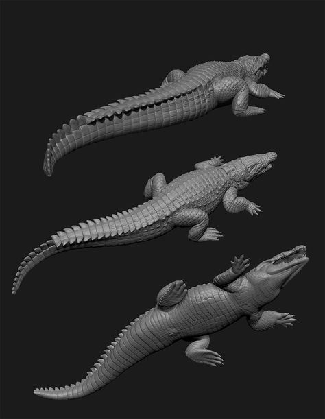 Crocodile From Above, Scp Oc, Mud Monster, Baby Bach, Animal Expressions, Crocodile Illustration, Alligators Art, Creatures Of Sonaria, Nile Crocodile