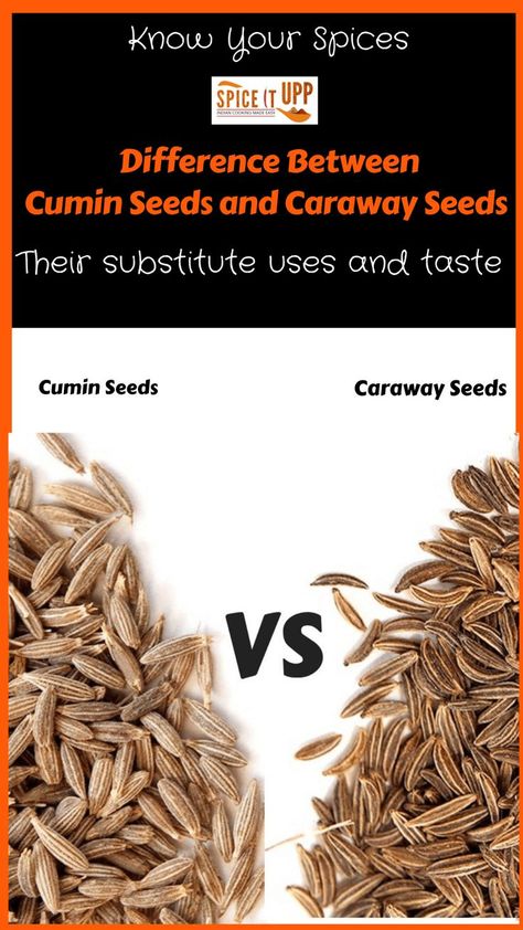 Cumin Benefits, Millennial Kitchen, Female Youtubers, Essential Spices, List Of Spices, Seeds Benefits, Ayurveda Life, Nigella Seeds, Ethnic Food