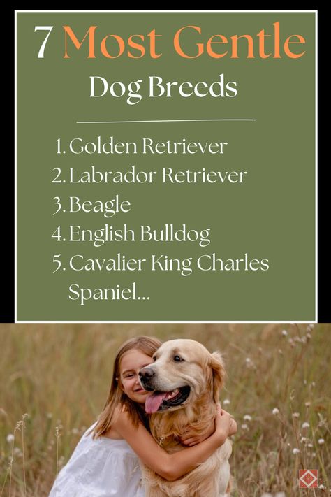 Ever dreamed of a companion who would melt your heart with a gentle paw swipe and a soft gaze? We've got you covered! Meet the 7 most gentle dog breeds that will not only enrich your life but also make it full of love, cuddles, and laughter. Dive into this insightful post and find out why these precious pups are the most treasured in the dog world. Dog World, Nanny Dog, Assistance Dog, Companion Dog, Different Dogs, Outdoor Lover, Full Of Love, Gentle Giant, Quiet Moments