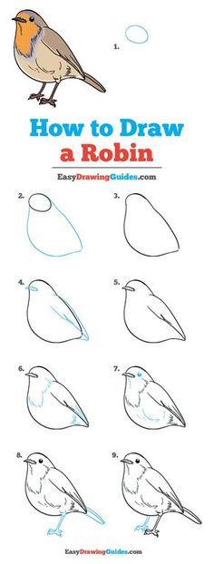 Drawing Birds Easy, Water Colour Tutorial, Kids Illustration Art, F Activities, Bird Drawing Easy, Robin Drawing, Bird Painting Diy, Bird Rocks, Bird Journal