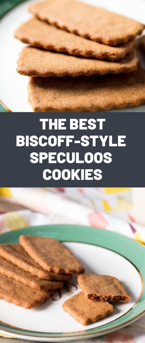 Belgian Spice Cookies (speculoos), Belgian Spice Cookies, How To Make Biscoff Cookies, Speculoos Cookies Recipe, Homemade Biscoff Cookies, Biscoff Cookie Recipes, Biscoff Cookies Recipe, Speculoos Recipe, Biscoff Cookie Recipe