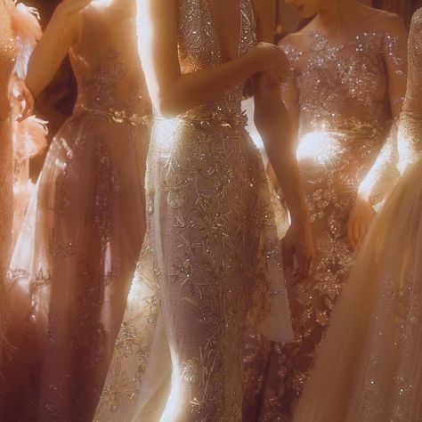 Champagne Aesthetic, Speak Now Taylor Swift, Gold Aesthetic, Speak Now, Classy Aesthetic, Dress Aesthetic, Golden Girl, Beige Aesthetic, Brown Aesthetic