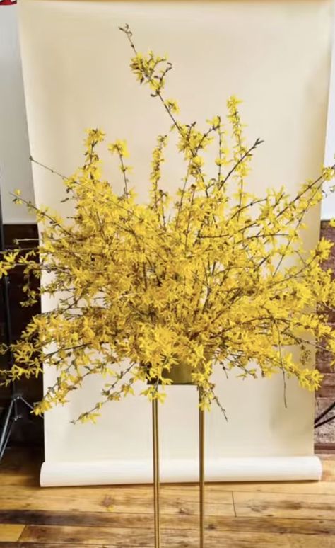 Yellow Floral Installation, Yellow Wedding Florals, Forsythia Wedding, Forsythia Arrangement, Yellow Flower Arrangements, Yellow Centerpieces, Make Way For Ducklings, Urn Arrangements, Gala Time